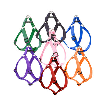 LupinePet Medium Dog Basics Step In Harness 3/4″