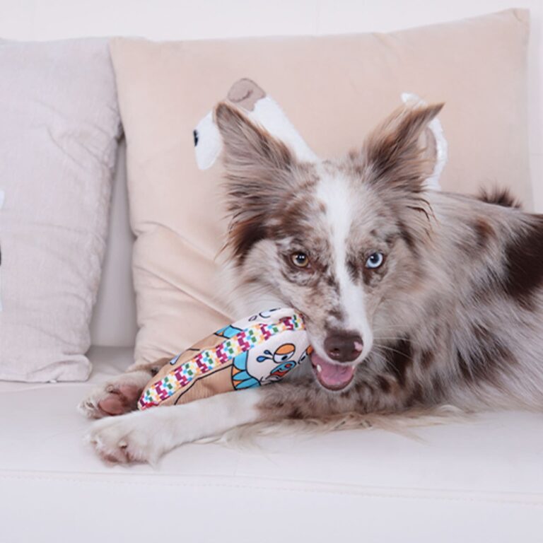 GiGwi Moody Club Bear – Large