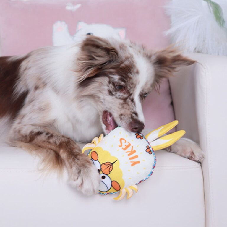 GiGwi Moody Club Bird – Large