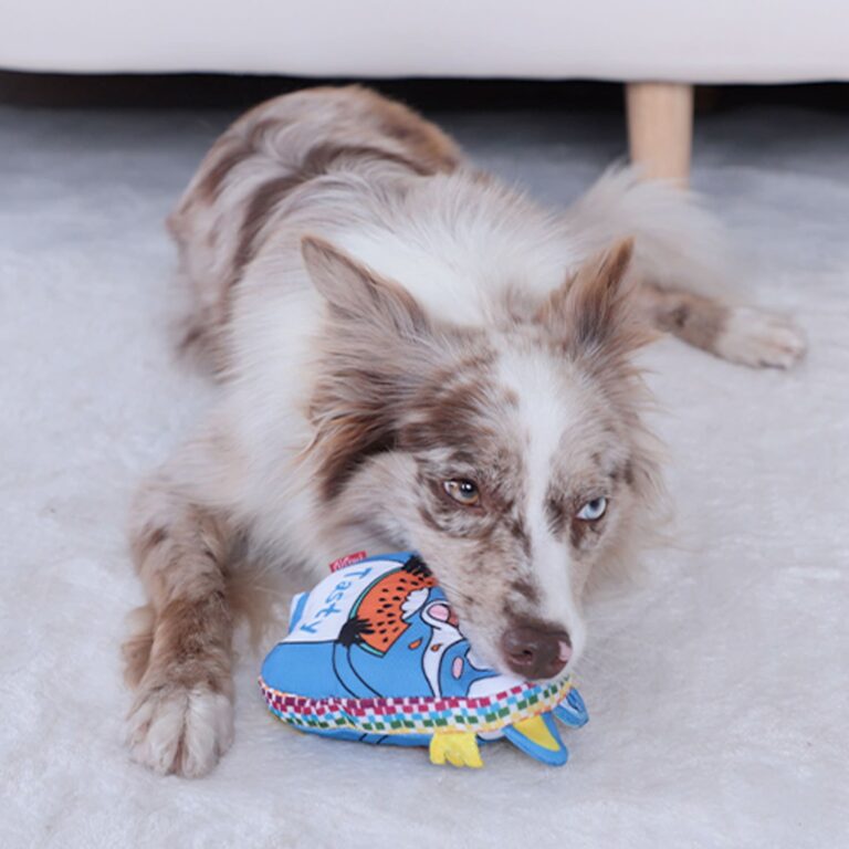 GiGwi Moody Club Raccoon – Large