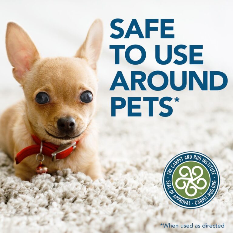 Simple Solution Oxy Charged Pet Stain and Odor Remover – 945ml