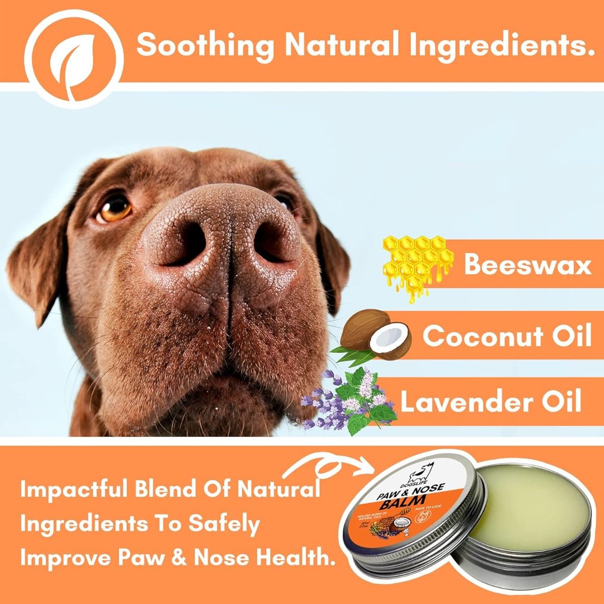 DogsLife Paw & Nose Balm Dog