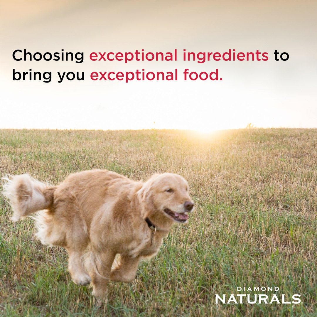 Diamond Naturals Senior Dog Chicken, Egg & Oatmeal Formula 2.72kg