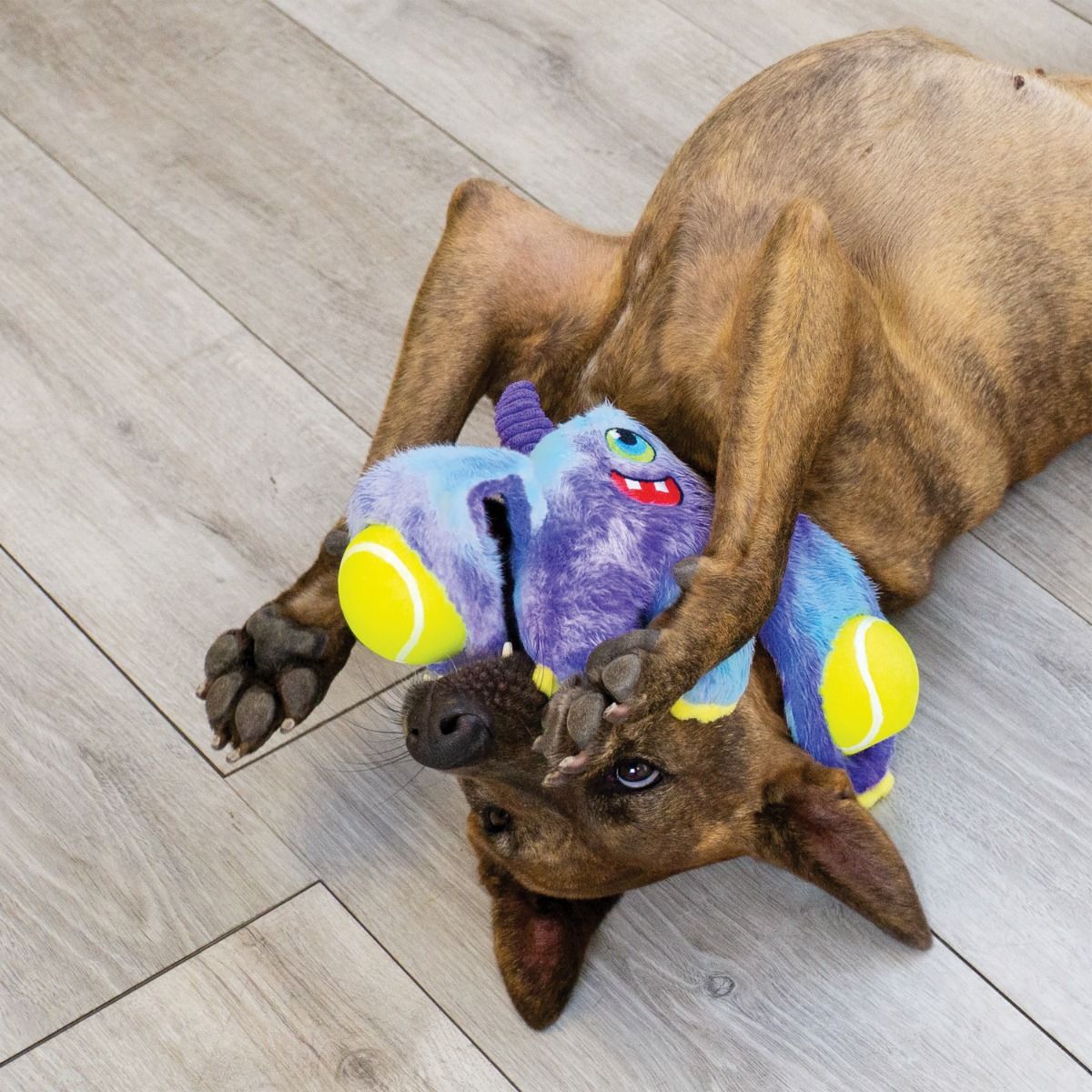 Kong Woozles Monster Squeaker Plush Dog Toy