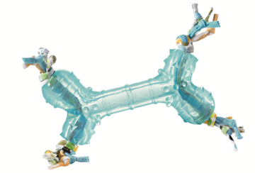 Hunter Chewing Bone Dog Toy