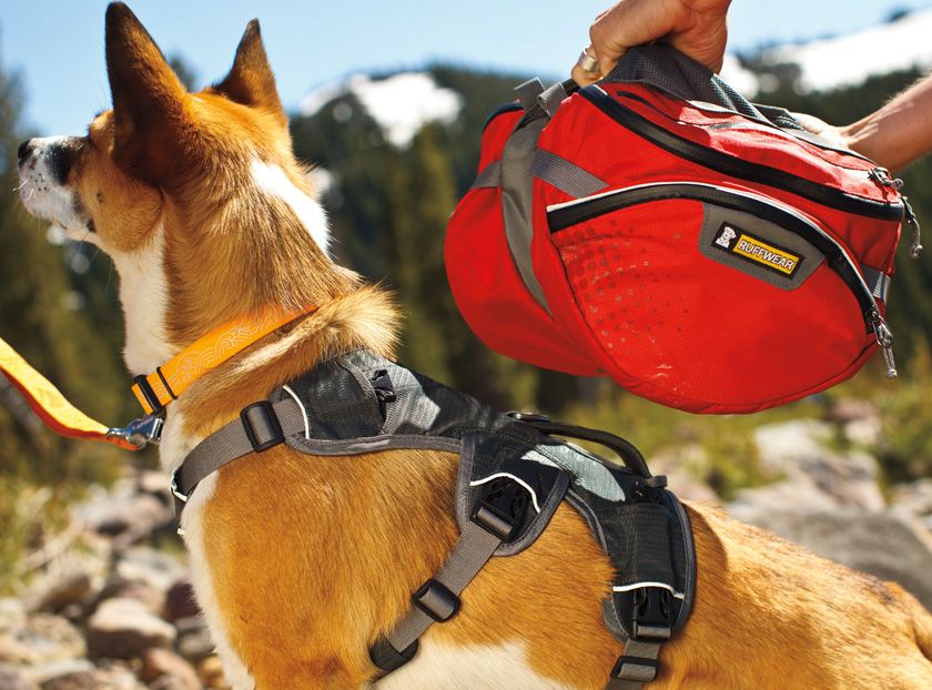 Ruffwear Palisades Multi-Day Dog Backpack