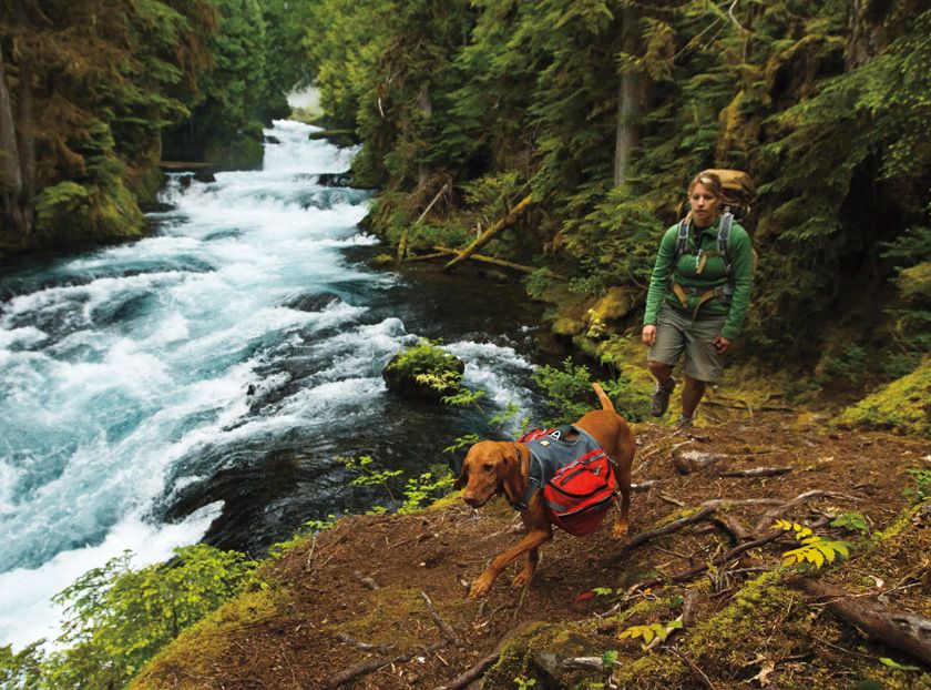 Ruffwear Palisades Multi-Day Dog Backpack