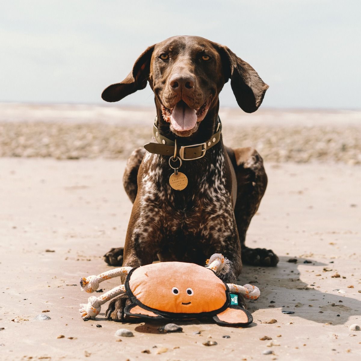 Beco Pets Rough & Tough Crab Recycled Dog Toy