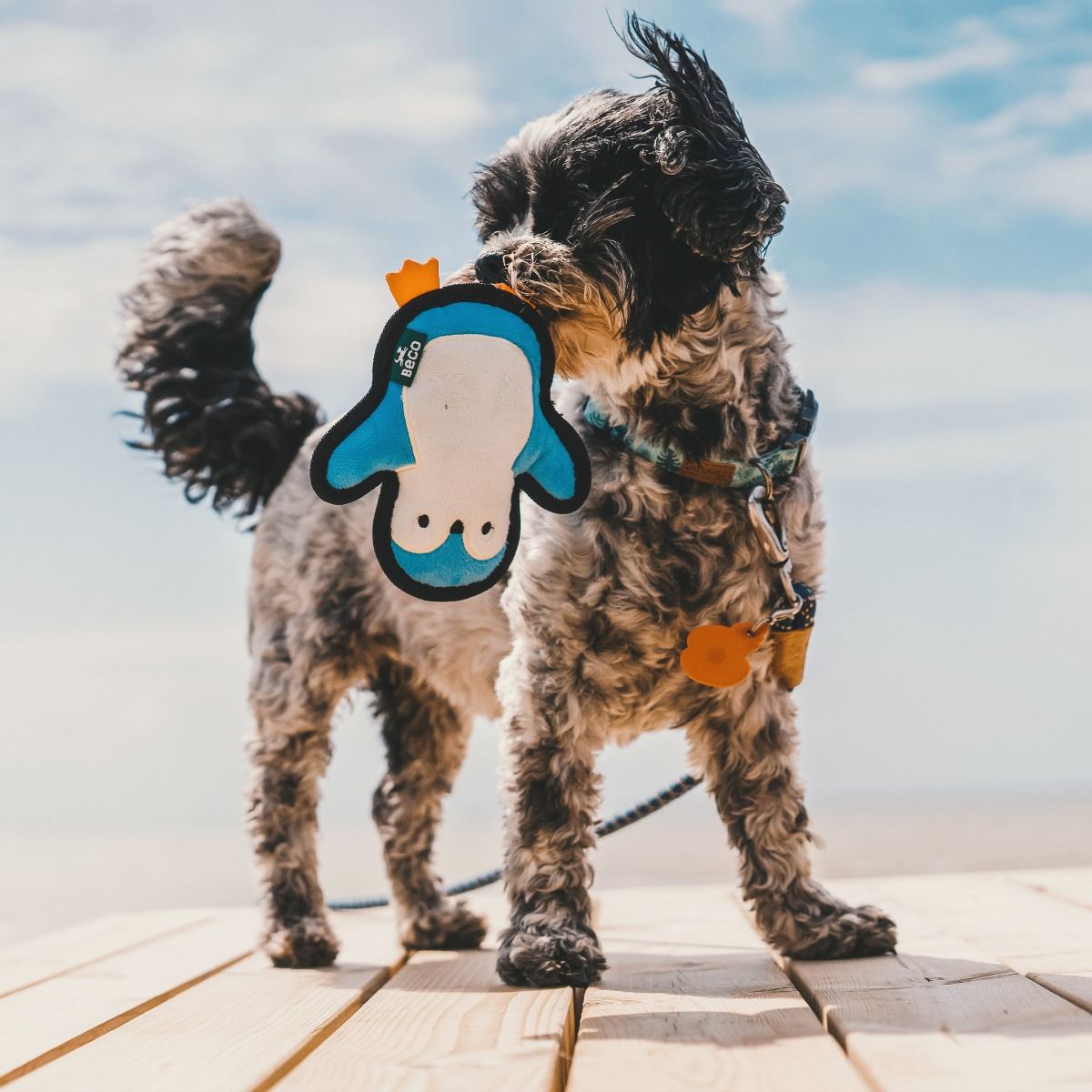 Beco Pets Rough & Tough Penguin Recycled Dog Toy