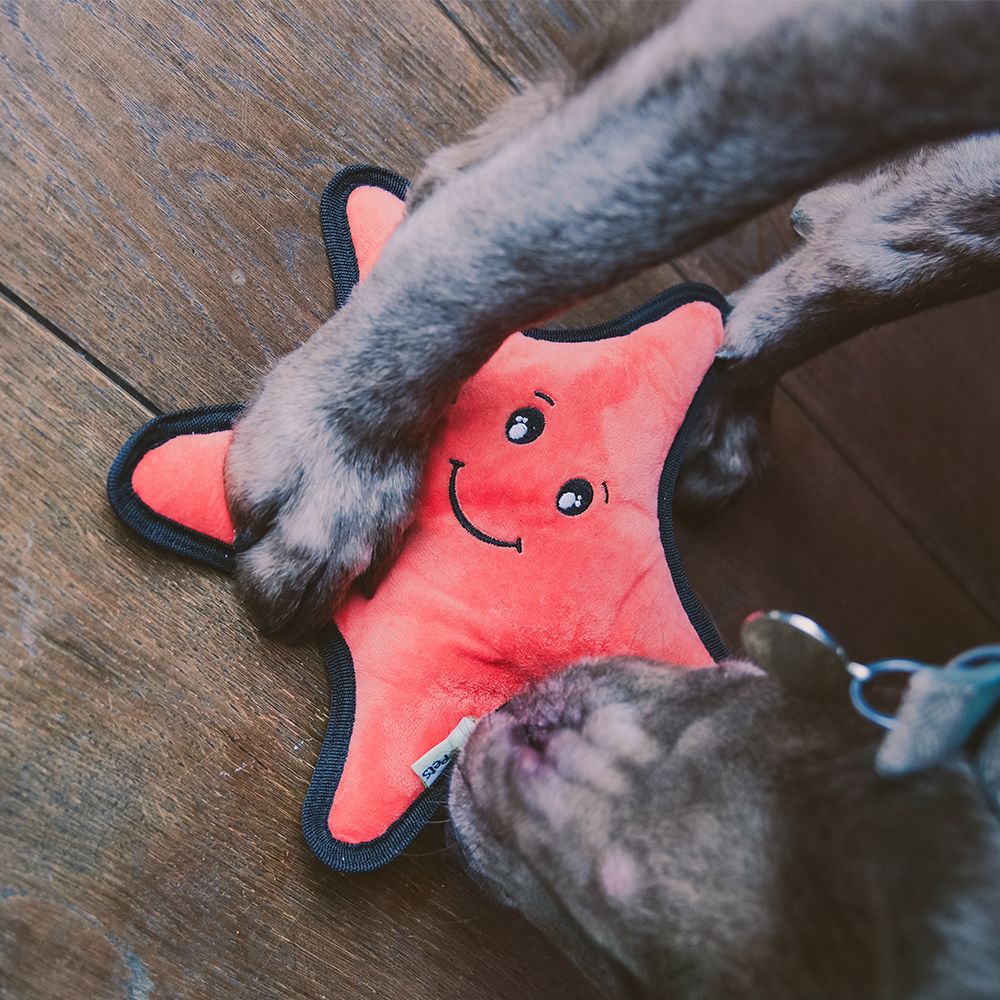 Beco Pets Rough & Tough Starfish Recycled Dog Toy