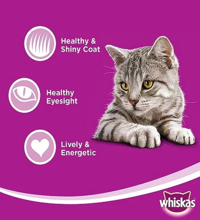 Whiskas Adult Chicken Dry Cat Food