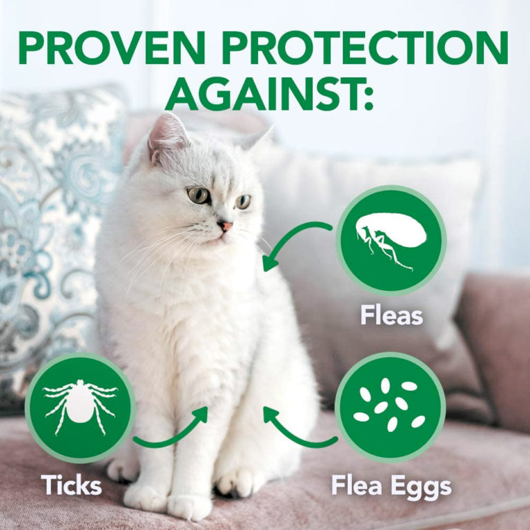 Vet’s Best Flea and Tick Waterless Bath Foam for Cats 5oz