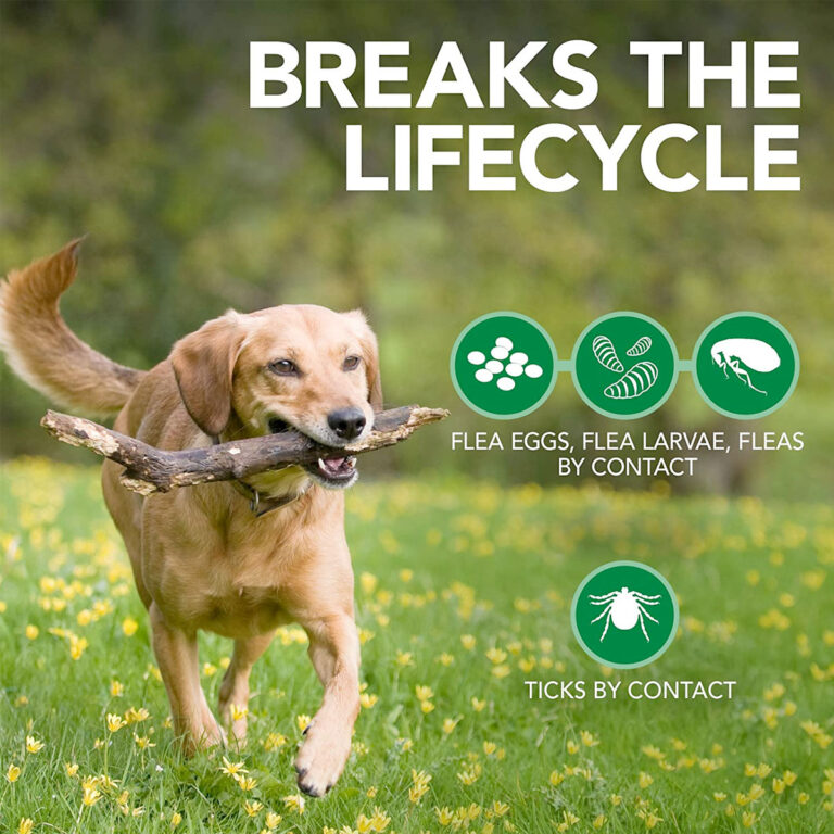 Vet’s Best Flea, Tick and Mite Treatment Spray for Dogs, 500 ml