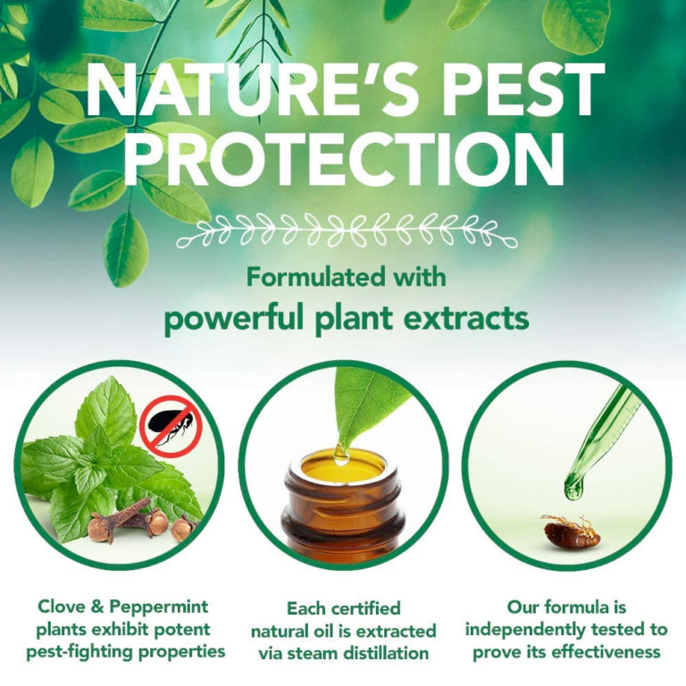 Vet’s Best Flea and Tick Waterless Bath Foam for Cats 5oz