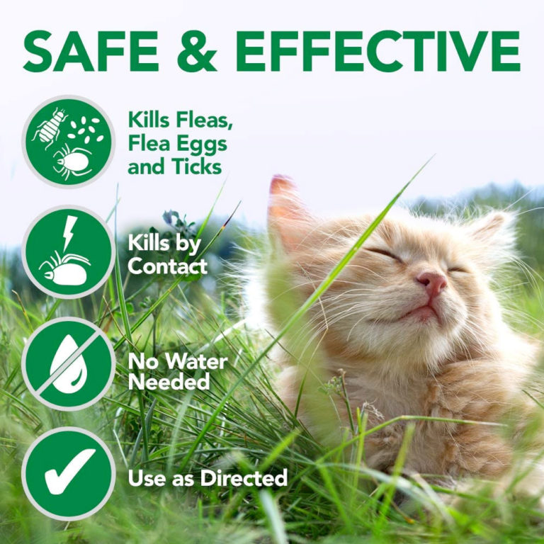 Vet’s Best Flea and Tick Waterless Bath Foam for Cats 5oz