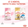Feline Health Nutrition Kitten - Image 11
