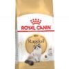 Feline Breed Nutrition Ragdoll Adult 2 KG