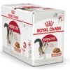 Feline Health Nutrition Instinctive Adult Cats Gravy (WET FOOD - Pouches)