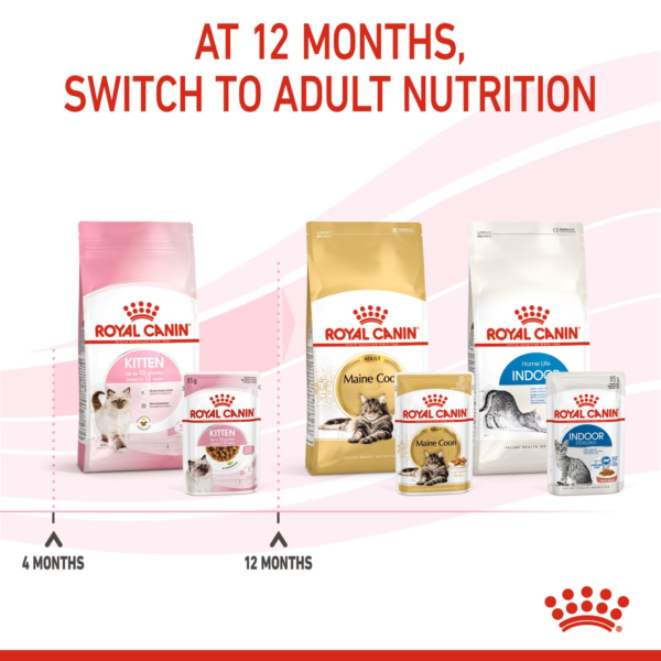 Feline Health Nutrition Kitten Gravy (WET FOOD - Pouches) - Image 11