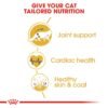 Feline Breed Nutrition Maine Coon Adult 2 KG - Image 7