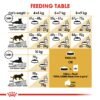 Feline Breed Nutrition Maine Coon Adult 2 KG - Image 3
