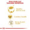 Feline Breed Nutrition Ragdoll Adult 2 KG - Image 7