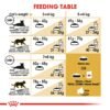 Feline Breed Nutrition Ragdoll Adult 2 KG - Image 5