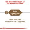 Feline Health Nutrition Ageing 12+ Years 2 KG - Image 3