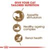 Feline Health Nutrition Ageing 12+ Years 2 KG - Image 6