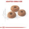 Feline Health Nutrition Fit 32 - 10 KG - Image 3