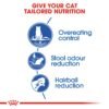 Feline Health Nutrition Indoor Appetite Control 2 KG - Image 4