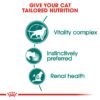 Feline Health Nutrition Instinctive +7 Gravy (WET FOOD - Pouches) - Image 4