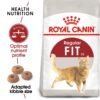 Feline Health Nutrition Fit 32 - 10 KG - Image 2