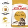 Feline Breed Nutrition Maine Coon Adult 2 KG - Image 2