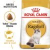 Feline Breed Nutrition Ragdoll Adult 2 KG - Image 2