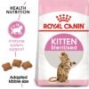 Feline Health Nutrition Kitten Sterilised 2 KG - Image 2