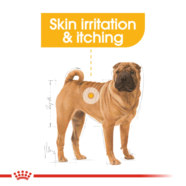 Canine Care Nutrition Medium Dermacomfort 12 KG - Image 3