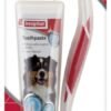 Toothbrush & Toothpaste - Combipack
