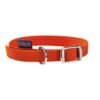 Flex Cat Collar - Orange - Image 2