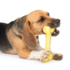 Zeus Duo Bone 18cm Yellow Coconut Scent - Image 4