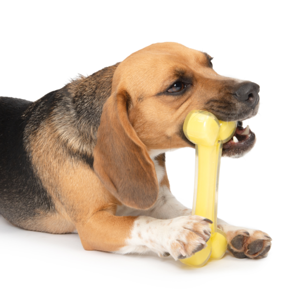 Zeus Duo Bone 18cm Yellow Coconut Scent - Image 4
