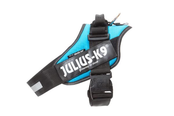 IDC Powerharness - Aquamarine / Size 1 - Image 4