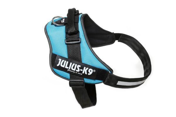 IDC Powerharness - Aquamarine / Size 4 - Image 2