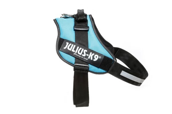 IDC Powerharness - Aquamarine / Size 4 - Image 3