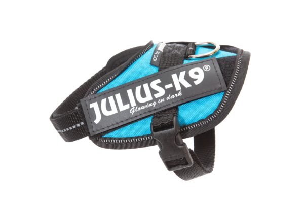 IDC Powerharness - Aquamarine / Size Baby 1 - Image 3
