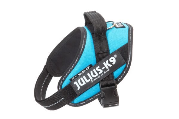 IDC Powerharness - Aquamarine / Size Mini - Image 2