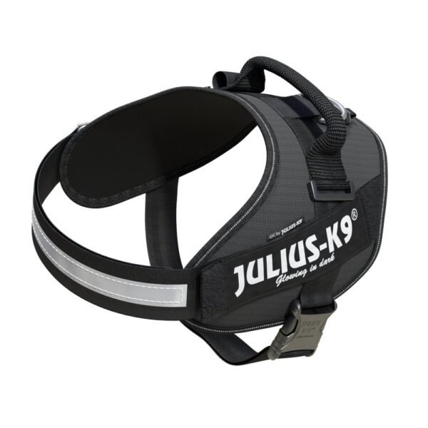 IDC Powerharness - Grey / Size 2