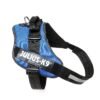 IDC Powerharness - Blue / Size 4 - Image 2