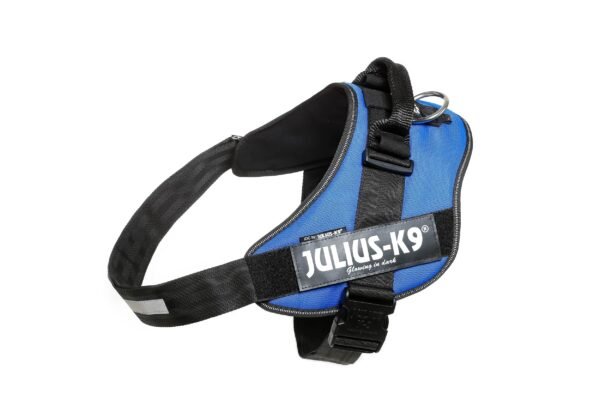 IDC Powerharness - Blue / Size 4 - Image 3