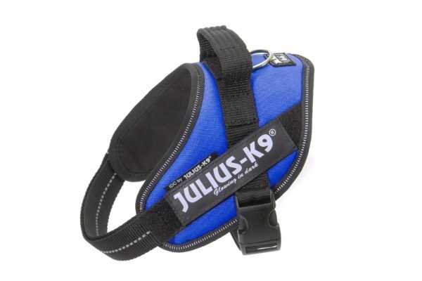 IDC Powerharness - Blue / Size Mini - Image 2